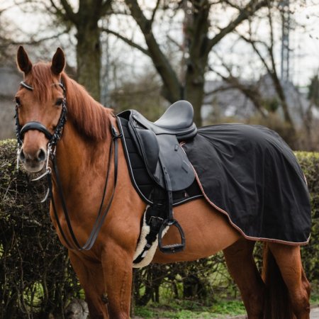 Bederní deka Horsea Training - Barva: Černá, Velikost deky: 145-L