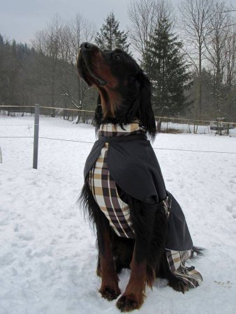 Deka pro psa Horsea Energic - Barva: Blankytná, Velikost deky pro psa: L
