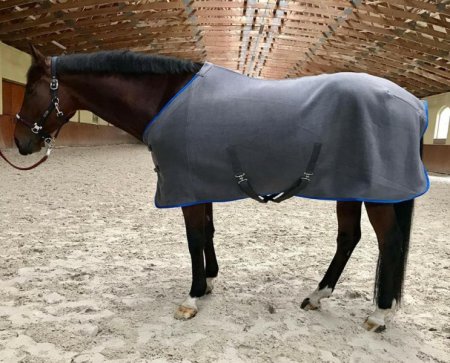 Odpocovací deka Horsea Classic Šedá