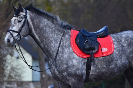 Všestranná podsedlová dečka Horsea Crown červená