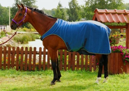 Fleecová deka do kolotoče Horsea Carousel