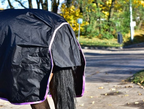 Thermo a výběhová deka pro koně Horsea Standard s odnímatelným krkem
