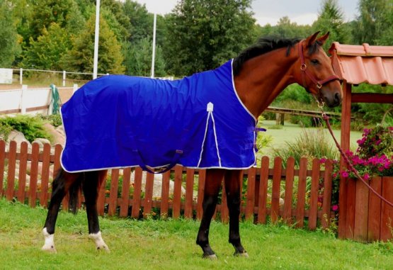 Stájová/transportní deka pro koně Horsea Cotton Královsky modrá