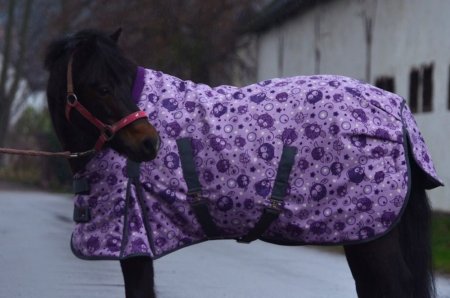 Thermo a výběhová deka pro koně Horsea Animal