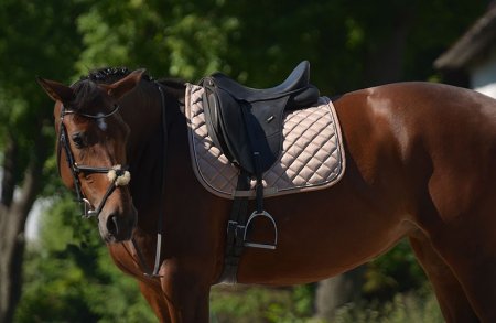 Drezurní podsedlová dečka Horsea Swarovski v měděném odstínu