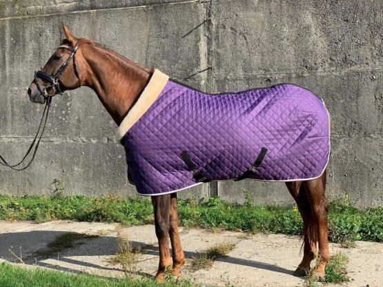 Univerzální stájová deka Horsea Fur fialová