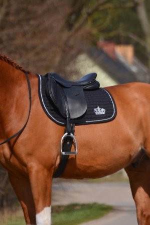 Všestranná podsedlová dečka Horsea Crown černá pod sedlem