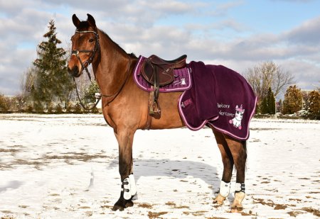 Odpocovací deka Horsea Unicorn