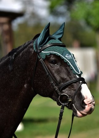 Dlouhá čabraka Horsea Harmony - Barva: Tmavá zelená, Velikost: Pony