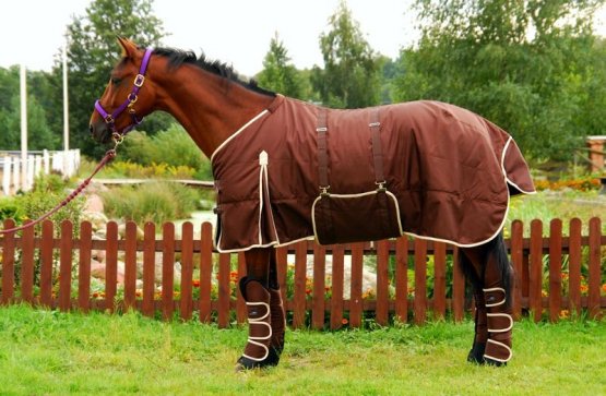 Thermo deka pro koně Horsea Belly
