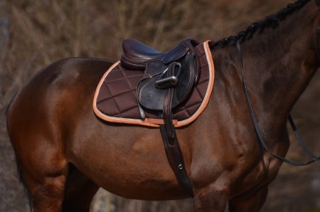 Všestranná/drezurní podsedlová dečka Horsea Orion