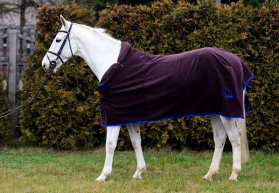 Odpocovací deka Horsea Variet s krkem