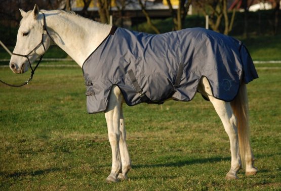 Výběhová deka pro koně Horsea Eco