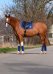 Drezurní podsedlová dečka Horsea Crown - Barva: Modrá, Velikost: Univerzální