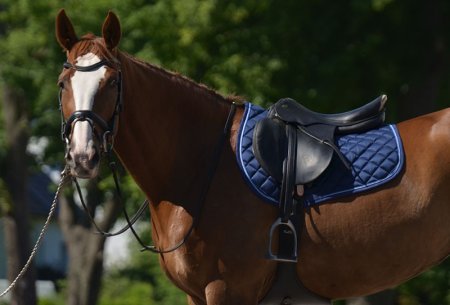 Všestranná podsedlová dečka Horsea Swarovski
