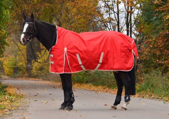 Výběhová deka pro koně Horsea Free