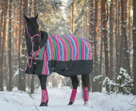 Thermo deka pro koně Horsea Color
