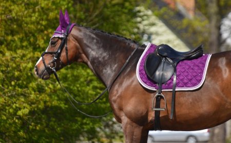 Všestranná podsedlová dečka Horsea Crystal Fialová