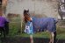 Thermo výběhová deka pro koně Horsea Freestyle