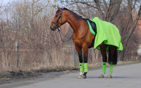 Odpocovací deka Horsea Classic Zelená