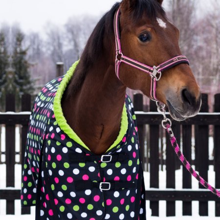 Univerzální stájová deka pro koně Horsea Pattern