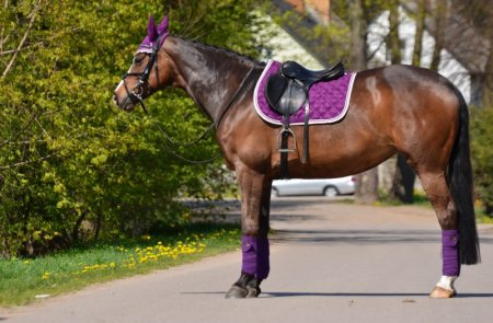 Všestranná podsedlová dečka Horsea Crystal Fialová barva
