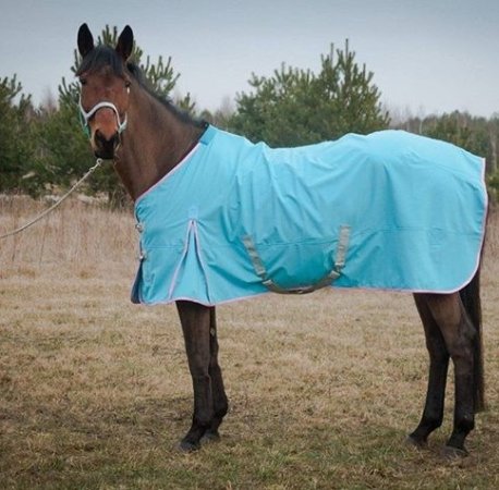Stájová/výběhová přechodná deka pro koně Horsea Active Softshell Tyrkysová