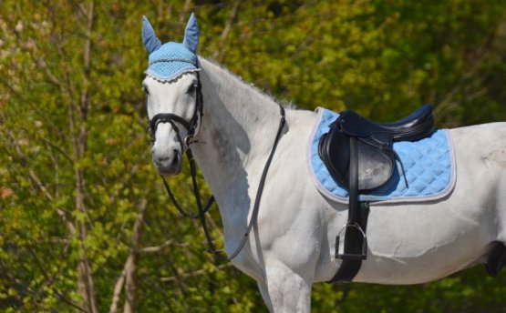 Všestranná podsedlová dečka Horsea Crystal Blankytně modrá