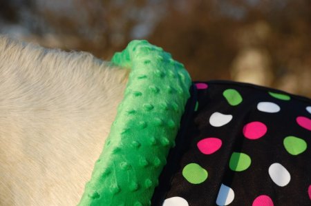 Univerzální stájová deka pro koně Horsea Pattern