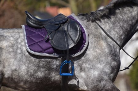 Všestranná/drezurní podsedlová dečka Horsea Orion