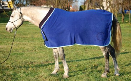 Odpocovací deka Horsea Royal