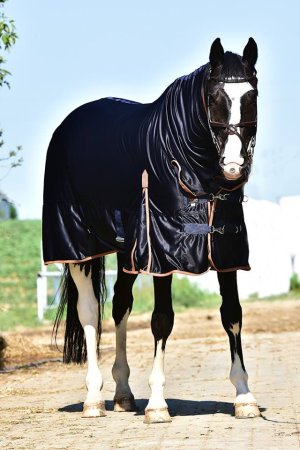 Lehká univerzální deka Horsea Cooler Neck - Barva: Modrá, Velikost deky: 125-S