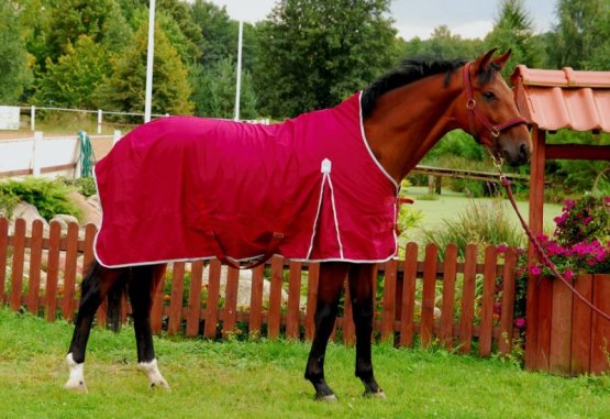 Stájová/transportní deka pro koně Horsea Cotton Červená