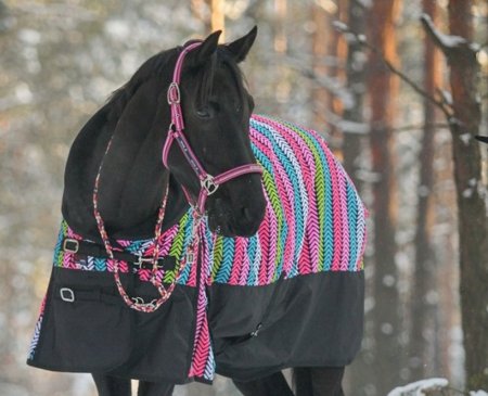 Thermo deka pro koně Horsea Color