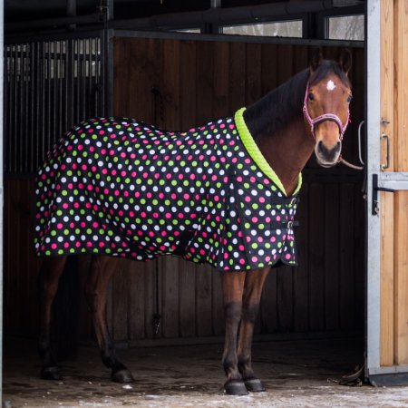 Univerzální stájová deka pro koně Horsea Pattern