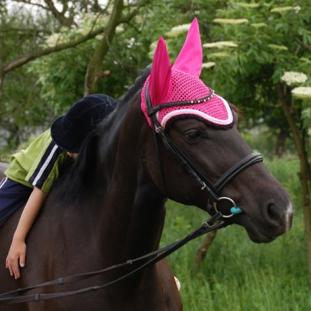 Čabraka Horsea Premium - Barva: Růžová, Velikost: Full