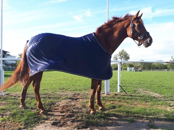 Univerzální deka pro koně Horsea Quick Dry Cooler