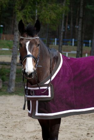 Odpocovací deka Horsea Elegance