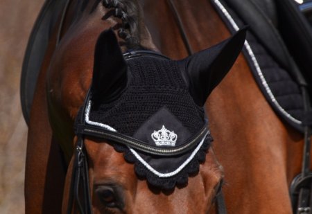 Čabraka Horsea Crown