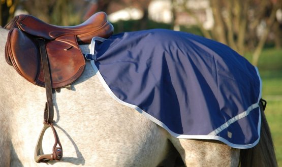 Bederní deka Horsea Training - Barva: Modrá, Velikost deky: 155-XL
