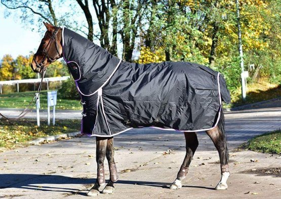 Thermo a výběhová deka pro koně Horsea Standard s odnímatelným krkem