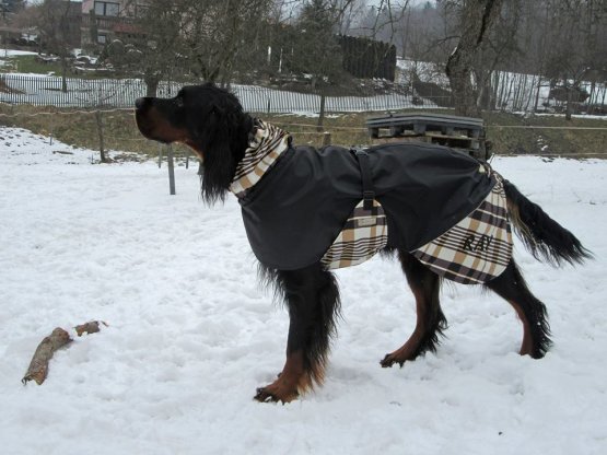 Deka pro psa Horsea Energic - Barva: Stripes, Velikost deky pro psa: L