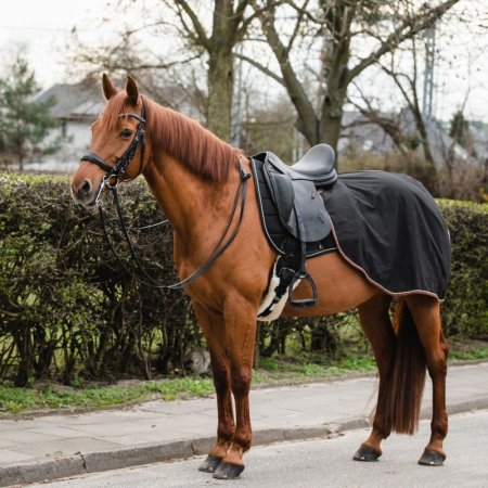 Bederní deka Horsea Training - Barva: Černá, Velikost deky: 155-XL