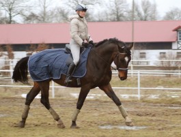 Bederní deka Horsea Fit