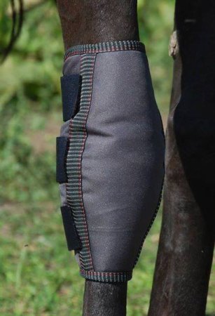 Karpální chránič Horsea Merino Carpus