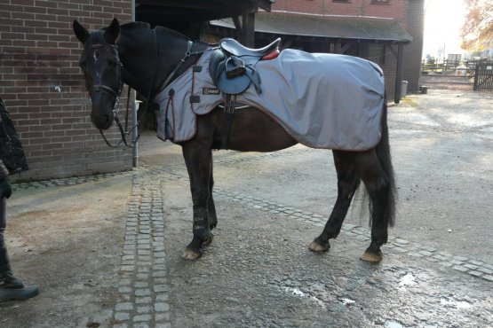 Bederní deka Horsea Sport - Barva: Červená, Velikost deky: 155-XL
