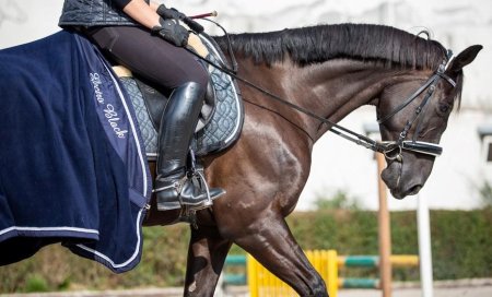 Odpocovací deka Horsea Collar s výšivkou na límci