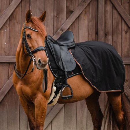 Softshellová deka chránicí bedra a záď koně