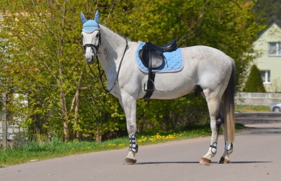 Všestranná podsedlová dečka Horsea Crystal světle modrý odstín
