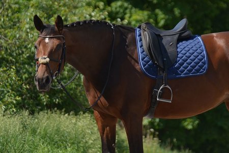 Drezurní podsedlová dečka Horsea Swarovski v modré variantě